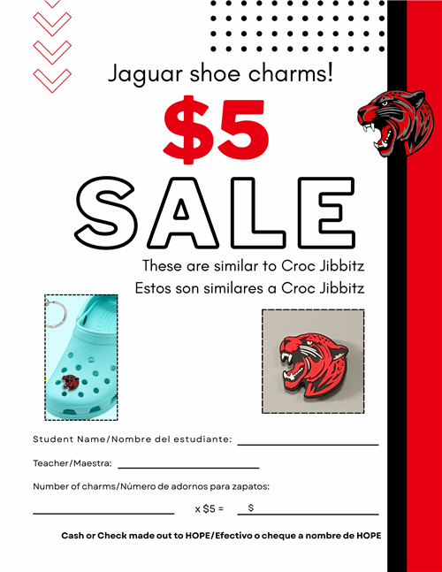 Shoe Charm Sale